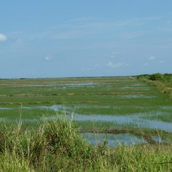 Cuba Land